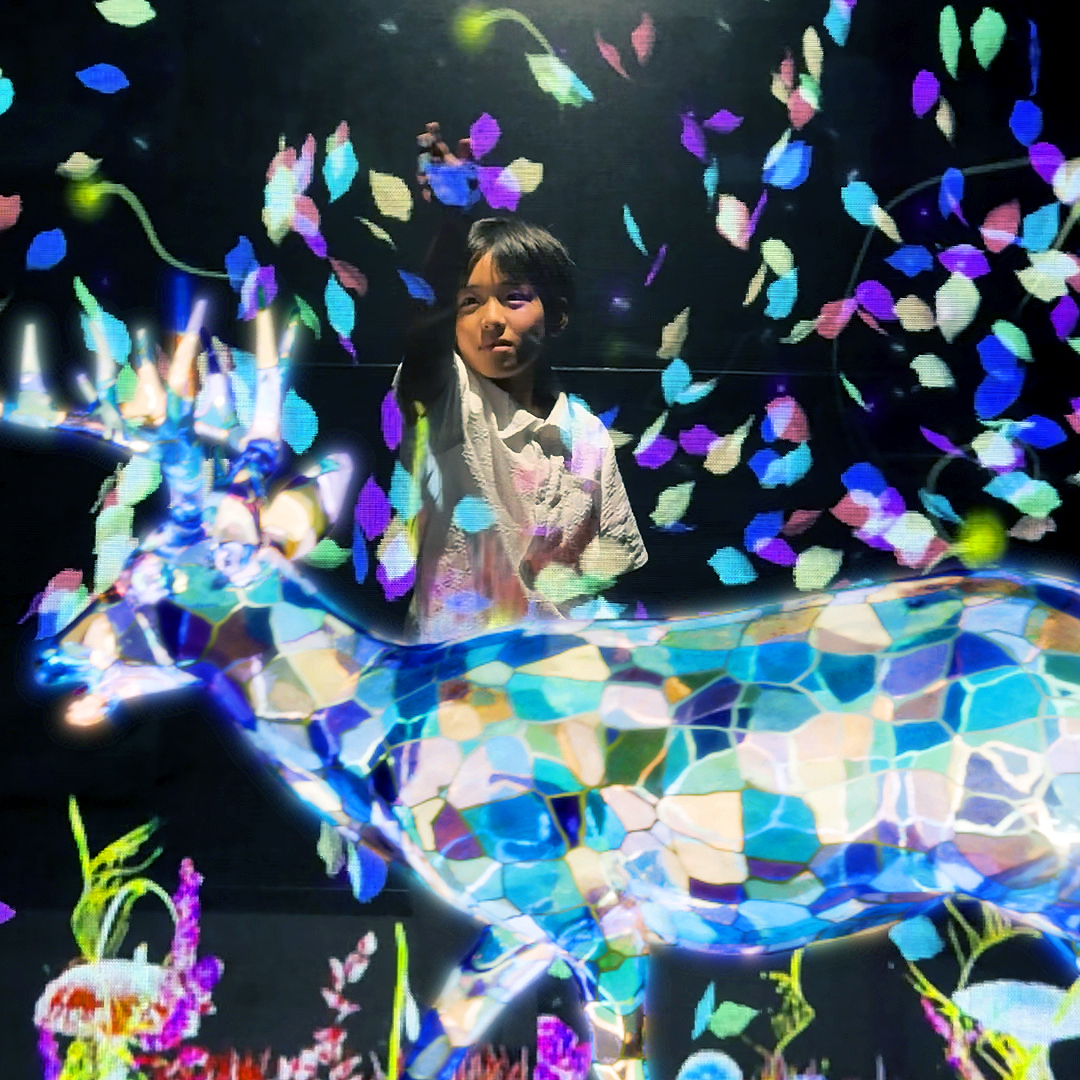 展示情報 イメージ画像2