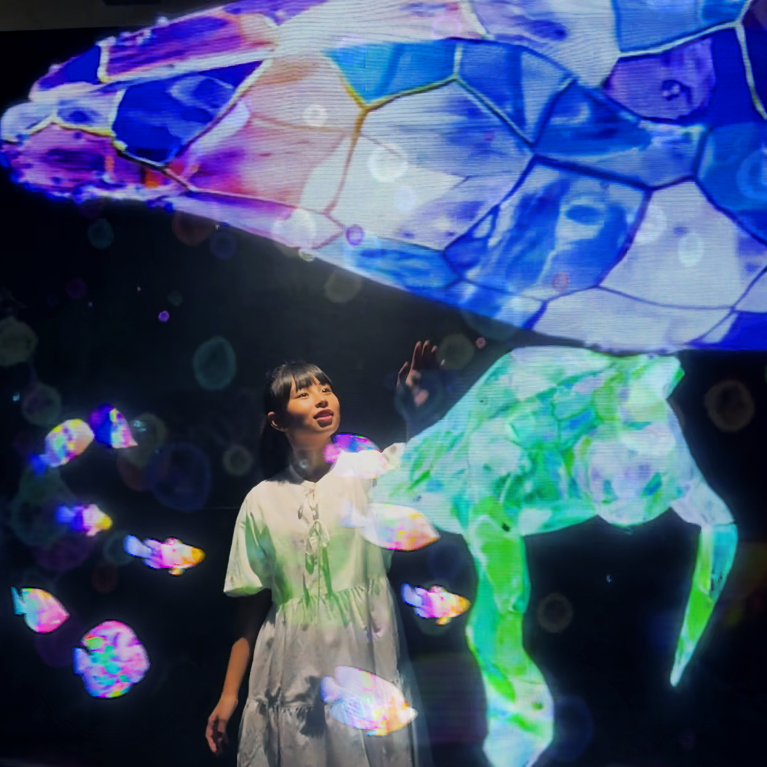 展示情報 イメージ画像1